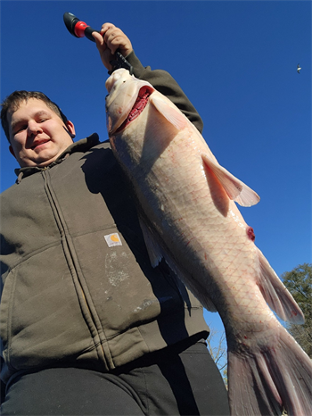 Evan Warrender's Bigmouth Buffalo 34.5inch, 11-11-24