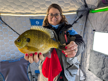 NICOLE MAY's Bluegill 10inch, 02-09-25