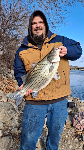 WILLIAM ANDERSON's Wiper (Hybrid Striped Bass) 36inch, 02-11-25