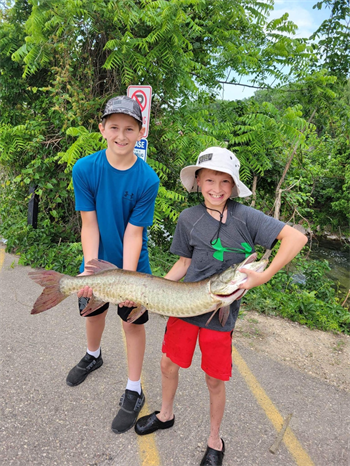 Colin Planting's Muskellunge 44inch, 02-15-25