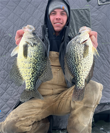 DEREK STONE's Black Crappie 14.75inch