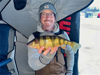 JACOB WILSON's Yellow Perch 13.5inch