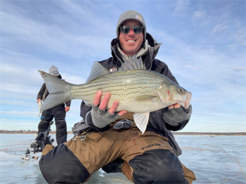 JACOB WILSON's Wiper (Hybrid Striped Bass) 24.25inch, 01-25-25