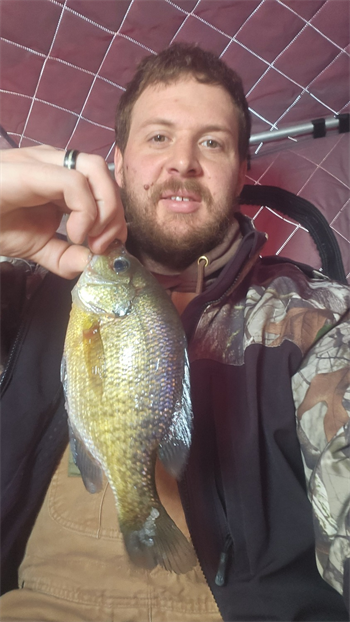 NICHOLAS ECCLES's Bluegill 9.5inch, 02-19-25