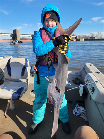 Ellie's Paddlefish