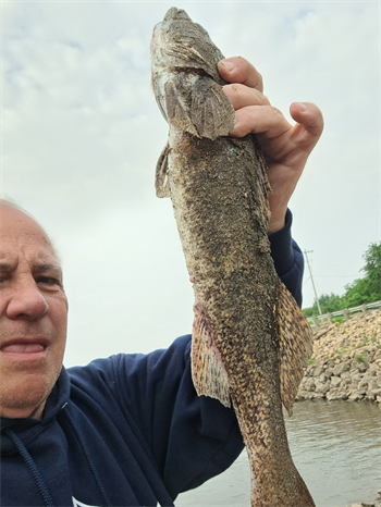 CLAY GRONEN's Sauger 21.5inch, 06-06-25