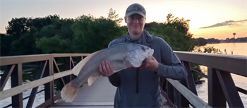 JAXON THEISEN's Freshwater Drum 27inch, 07-24-25