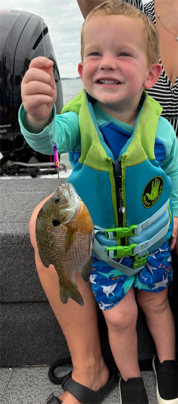 Camden's Bluegill