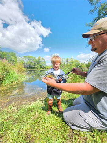Holden's Green Sunfish