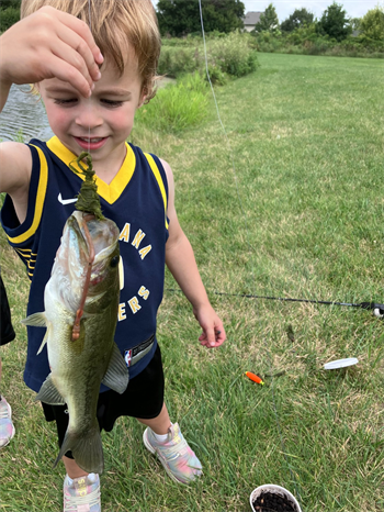 Jordan's Largemouth Bass