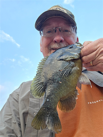 Douglas Farrell's Green Sunfish 10inch, 09-04-25
