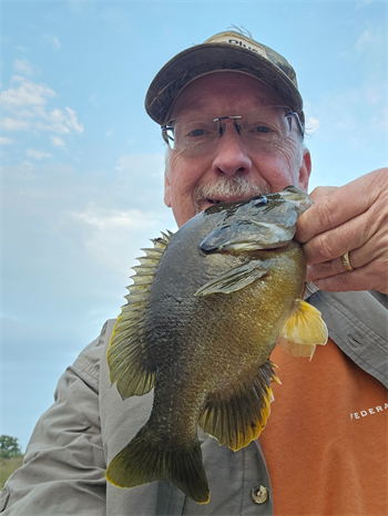Douglas Farrell's Green Sunfish 10inch, 09-04-25