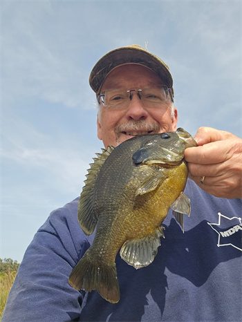Douglas Farrell's Green Sunfish 10inch, 09-08-25