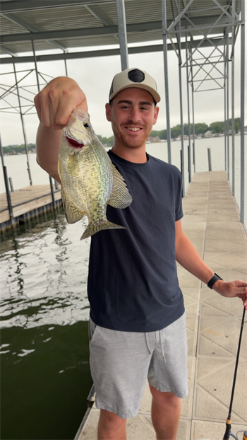 RYAN's Black Crappie