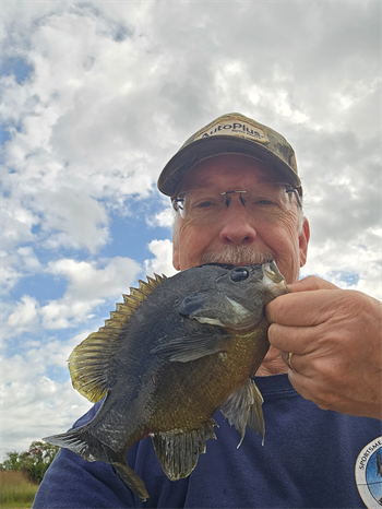Douglas Farrell's Green Sunfish 10inch, 09-20-25
