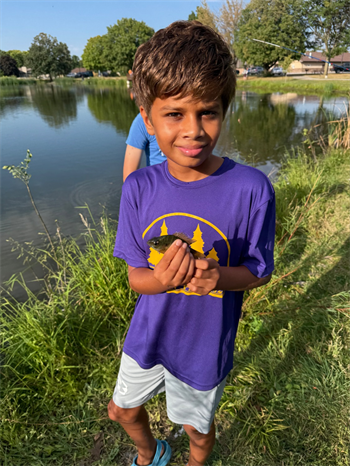 Saharsh's Bluegill