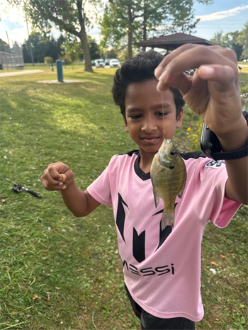 Ayush's Bluegill