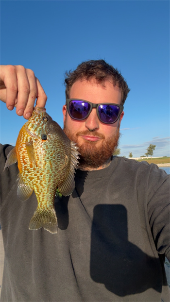 STEPHEN TAZZIOLI's Pumpkinseed 9inch, 09-25-25