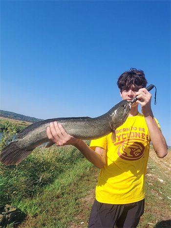 Oscar Cline's Bowfin 28.5inch, 10-04-25