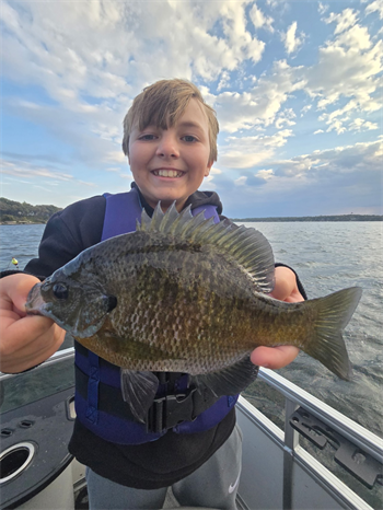 Brexton's Bluegill