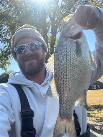 RYAN ERSKINE's White Bass 17.25inch, 10-08-25