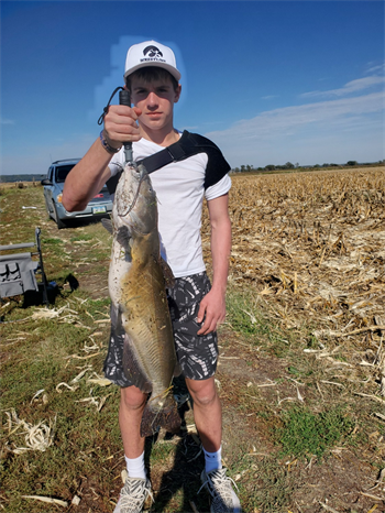 Bo Hake's Channel Catfish 31inch, 10-12-25