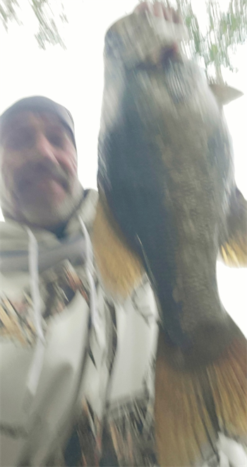 Creighton Whitehill's Smallmouth Bass 20inch, 10-15-25
