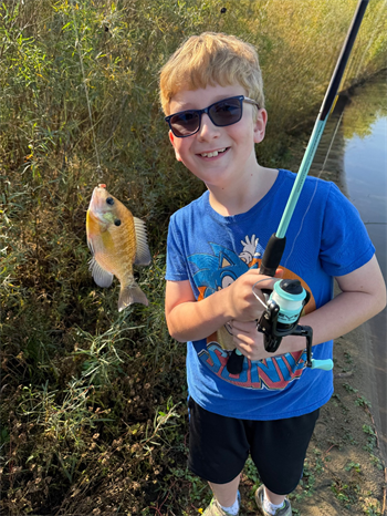 Alexander's Bluegill