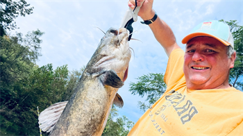 WILLIAM HAWTHORNE's Flathead Catfish 36inch, 09-15-25
