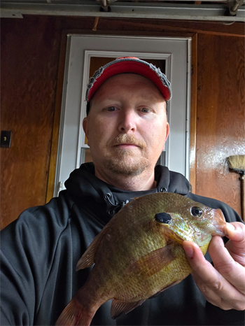 SCOTT HECKART's Bluegill 10inch, 10-25-25