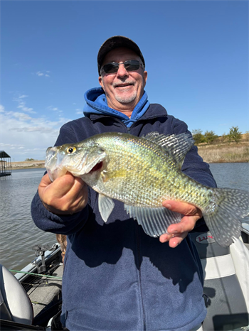 Ken Damon's White Crappie 15inch, 10-20-25