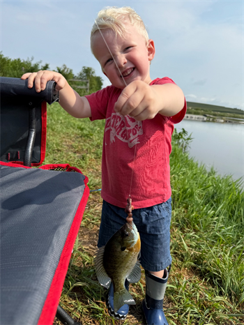 Jake's Bluegill