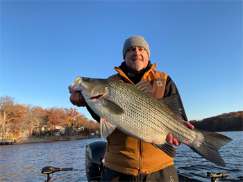 JOHN HIERSEMAN's Wiper (Hybrid Striped Bass) 28.75inch, 11-11-25