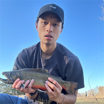 LUOXIN YAN's Brook Trout 15.5inch, 11-14-25