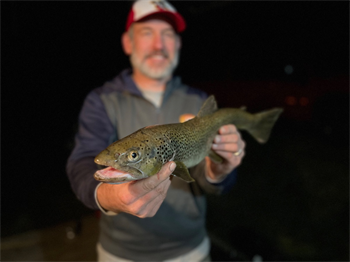 JASON SCHWARTZHOFF's Brown Trout 21.88inch, 11-14-25