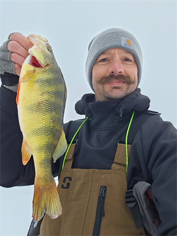 Chad McDaniel's Yellow Perch 12.75inch