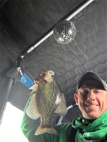 DANNY Farmer's Black Crappie 15inch, 12-12-25