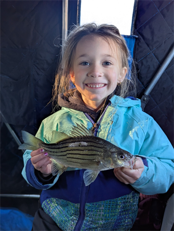 Amelia Weiss's Yellow Bass 10.25inch, 12-20-25