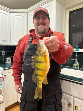 RICHARD DUBLINSKE's Yellow Perch 12.18inch