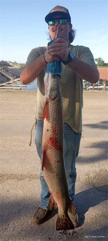MARVIN WATTS's Longnose Gar 56.5inch, 05-17-25