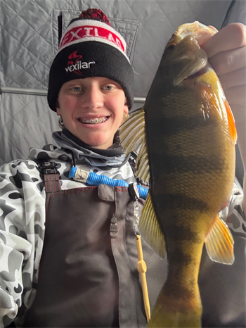 LEVI BOOGERD's Yellow Perch 12.25inch, 01-03-26