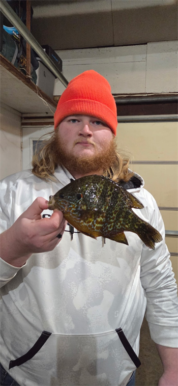 Garrett Gray's Pumpkinseed 9.25inch, 01-03-26