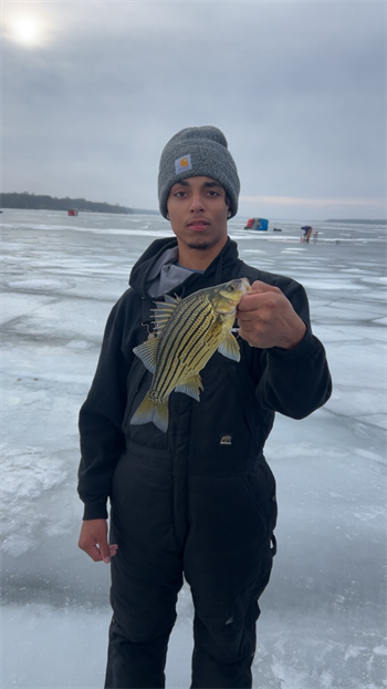 Joesph Salmon's Yellow Bass 11.5inch, 01-05-26
