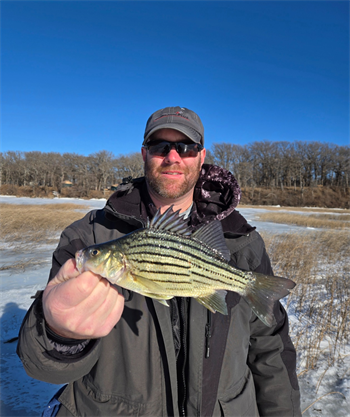 SHAWN DAVIS's Yellow Bass 10.25inch, 01-12-26