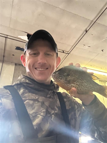 DANNY Farmer's Pumpkinseed 9inch