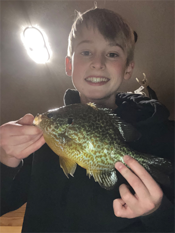 BENJAMIN NEWLIN's Pumpkinseed 9.5inch