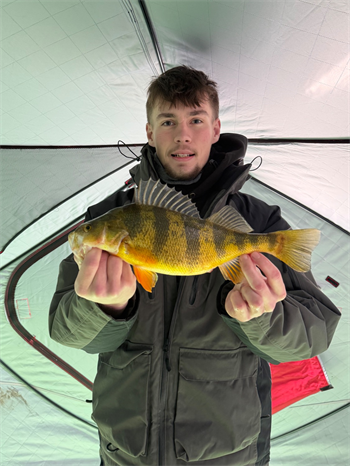 GRADY GODWIN's Yellow Perch 14inch