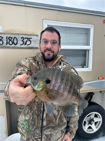 Ted E Kruger's Bluegill 10.25inch, 02-01-26