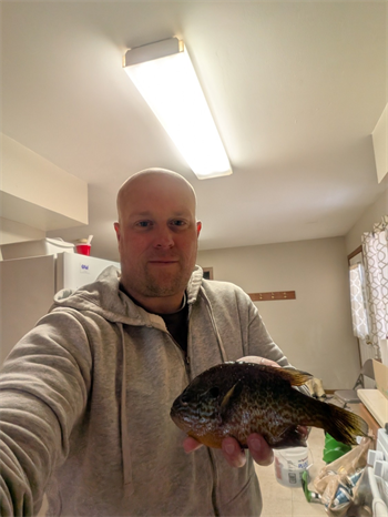 JUSTIN MIELCARZ's Pumpkinseed 9.15inch, 01-30-26