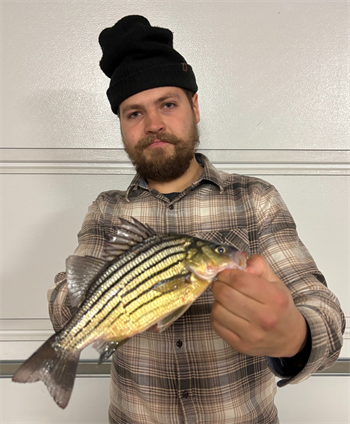 Benjamin Frostestad's Yellow Bass 10inch